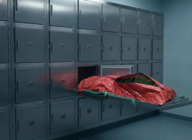 A red Sleigh Bag with a green-trimmed edge lying on a pulled-out steel drawer in a cold grey storage room, a green tree showing at the open zipper.